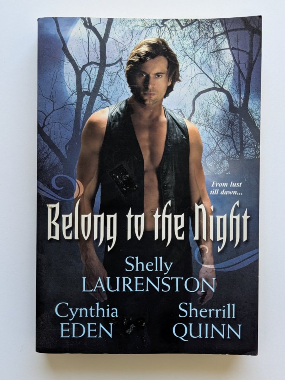 5/$15 Book Belong to the Night Long Island Coven 2 Laurenston Novellas Romantasy